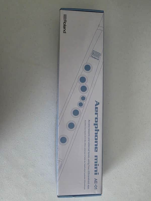 Roland AE-01 Aerophone Digital Wind Instrument 2019 - Present - Silver image 1