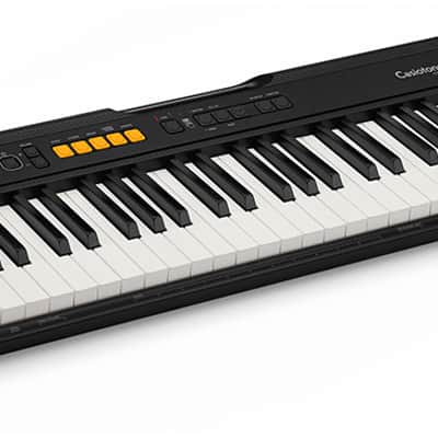 CASIO CT-S100 Casiotone Keyboard ohne Netzteil image 2