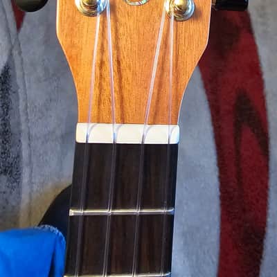Kala KA-MNGG-T 2022 - Gloss image 5