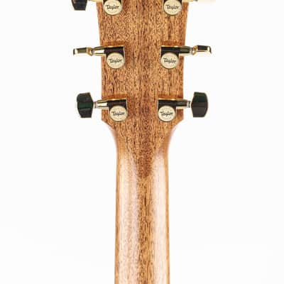 2025 Taylor Legacy 514ce Acoustic Electric Guitar - Natural with HSC image 11
