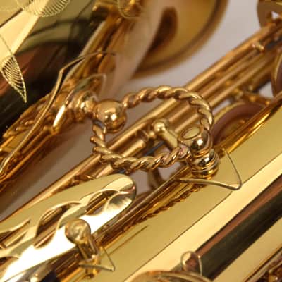 Eastman EAS850 Rue Saint-Georges Alto Saxophone - Lacquer image 4