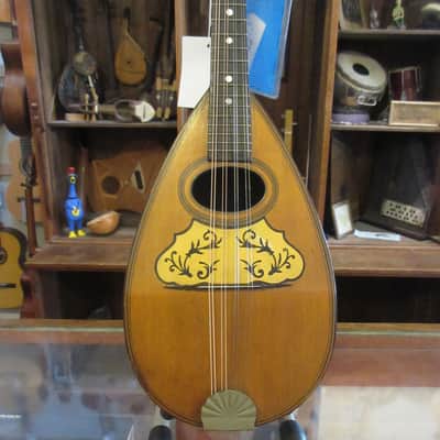 Unlabeled Bowlback Mandolin Early 1900's image 5