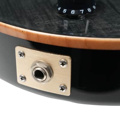 2008 – PRS SC250 - Black Flame image 19