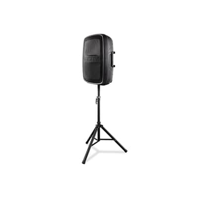 ION TOTAL PA PRO Complete Bluetooth USB PA System Pair with Stands, Mic & Remote image 7