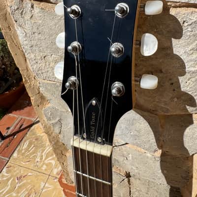 Gold Tone GT-500 Banjitar 2010s - Natural Gloss image 6