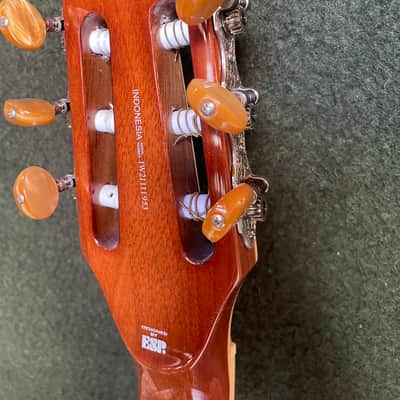 ESP LTD TL-6N 2021 Nylon Thinline Guitar image 8