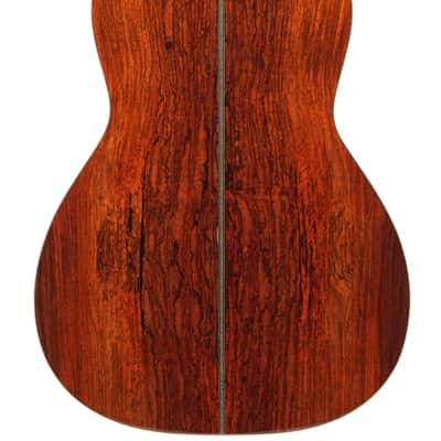 Santa Cruz 00 Eric Skye Cocobolo Adirondack Lefty 2022 image 4