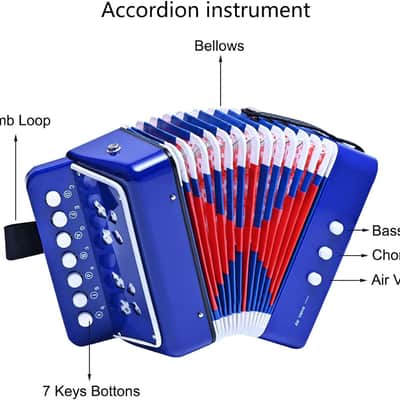 Kids Accordion 10 keys Button Accordian,Musical Toy Instrument,Mini Accordion for Children Beginners (Blue) image 3