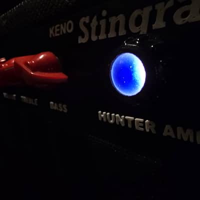 Hunter Amplifiers - Stingray - 4-watt Tube Combo - 8" Speaker - Red Snakeskin image 6