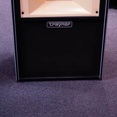 Traynor BW-2 8 ohms 100W speaker PA cabinet image 2