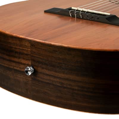 Ortega R16PC Traditional Series Solid Cedar Top Beechwood Neck Nylon 4/4 Size 6-String Classical Acoustic Guitar image 12