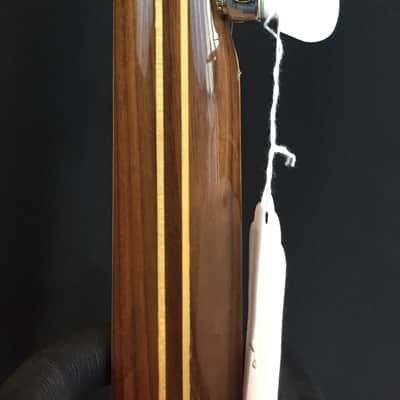 Tyler Mountain TM-800  Pro Model 5-String Banjo w/ Hardshell Case image 12