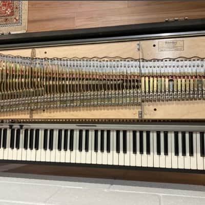 Rhodes Mark I Stage 73-Key Electric Piano 1975 - 1979 Black Rounded Top image 14