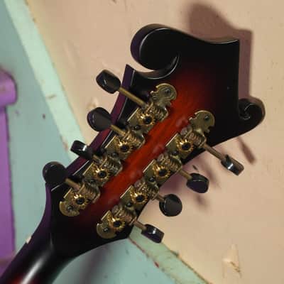 2020 Washburn M108SWK Carved F-Style Mandolin (VIDEO! Fresh Setup, Ready) image 14