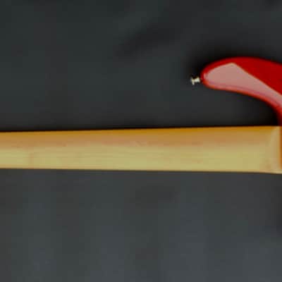 Mike Lull Bryan Beller Signature image 6