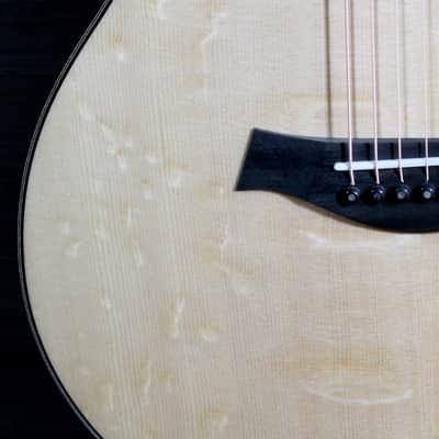 Taylor 814ce Special Edition – Blackheart Sassafras | Tone Show Exclusive image 18