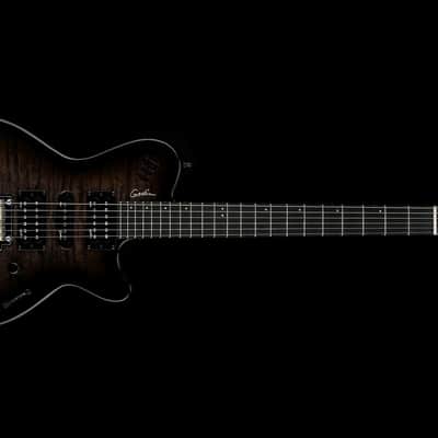 Godin xtSA Leaftop in Trans Black with Gigbag image 3