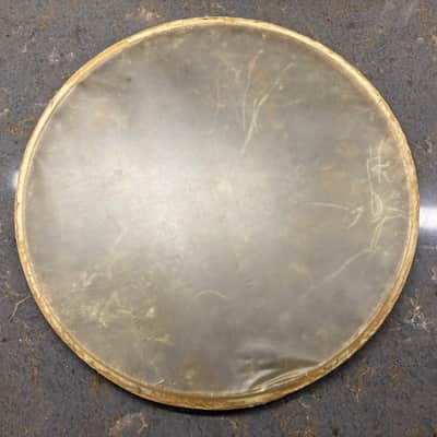 14 “ WFL Calf skin snare drum heads-1950s ? Batter & snare image 7