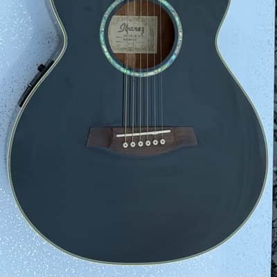 Ibanez AEG 10E Electro-acoustic guitar 2005 - Black image 1