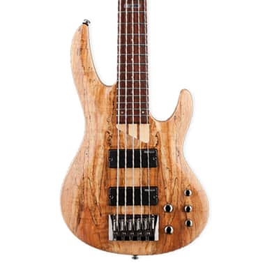ESP LTD B-205SM 5-String Bass Guitar - Natural Satin image 1