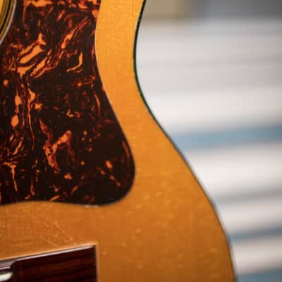 Favilla F6 built in 1965 by Tom Favilla with non OHSC image 10