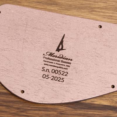 【new】Meridian Guitars / J-24 5 Custom 4.185kg #00511【GIB Hyogo】【price included SHIPPING & IMPORT TAX & VAT】 image 14