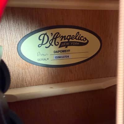 D'Angelico Premier Limited Edition Grateful Dead Tammany Acoustic Electric Guitar w/Gigbag #0704 image 5