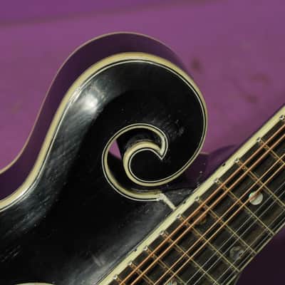 2024 Eastman MD-814 F-Style Carved-Top Mandolin (VIDEO! Fresh Work, Ready) image 6