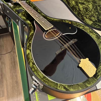 Washburn M1SDLB Bluegrass Series image 6