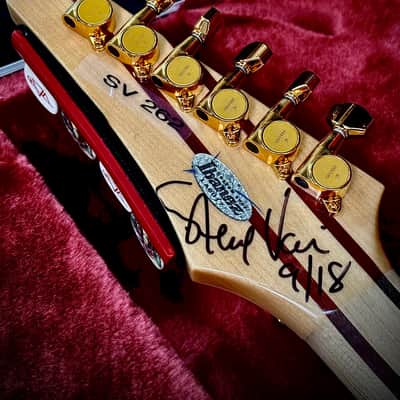 STEVE VAI OWNED IBANEZ JEM LACS "BRAXIS" image 4