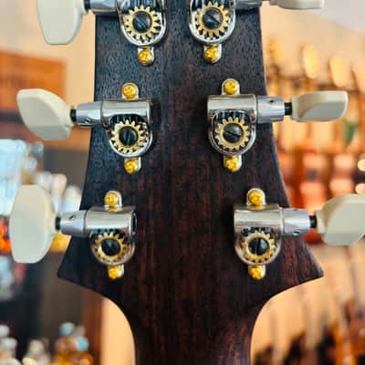 PRS Custom 24 Wood Library Limited Edition image 5