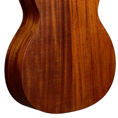 LAG T170ACE Tramontane 170 Auditorium Elektro-Akustikgitarre natur satin image 3