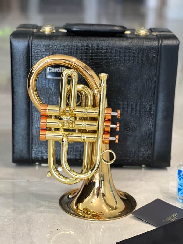CarolBrass Pocket Flugelhorn / Taylor Phat Puppy 2024 - Polished / Lacquered image 1