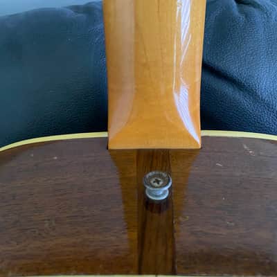 Fender Shenandoah 12 String 1965 image 13