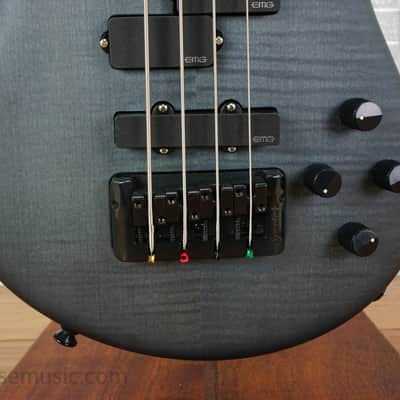 Spector Euro 4 LX Bolt-On - Transparent Black Stain Matte image 7