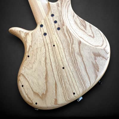 Elrick EVO Gold 6 String Buckeye 2024 - Natural image 8