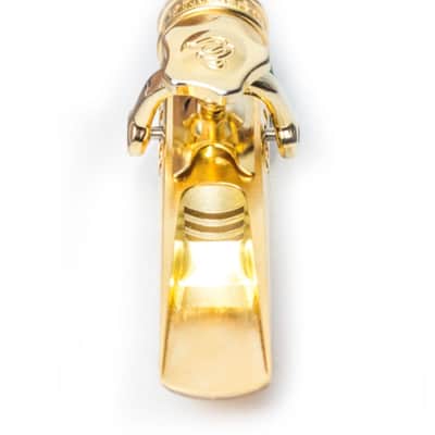 Theo Wanne Tantra 7 Alto for Fiberreed - Gold image 2
