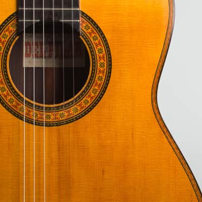 Del Pilar Classical Guitar (1990), hard shell case. image 17