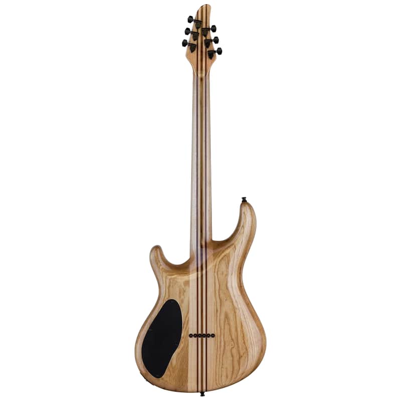 Mayones Regius 6 image 2
