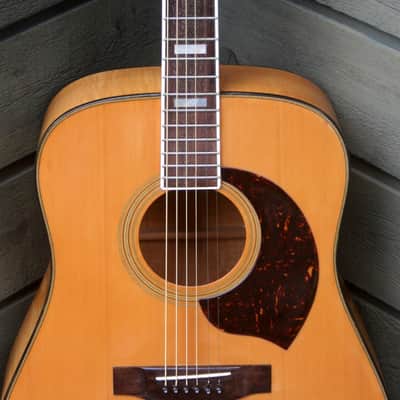 Yamaki YB400 Buffalo Head Dreadnought Guitar Circa 1980 Natural+Hard Case image 4