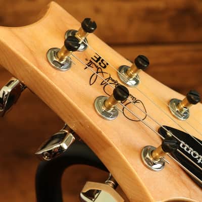PRS SE Custom 24 w/ Bird Inlays - Blue Flame Top image 8