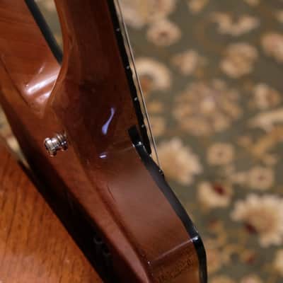 Washburn Dimebag D3 USA Dimebolt Guitar image 9