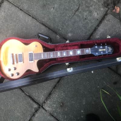 Guild Bluesbird image 3