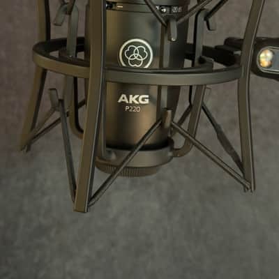 AKG P220 Large Diaphragm Cardioid Condenser Microphone 2010s - Black image 7