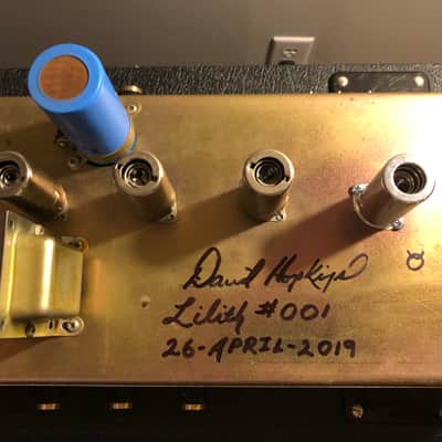 Marshall JCM 800 Hopkins Modded High Gain "Lilith" 1987 Black/Gold image 9