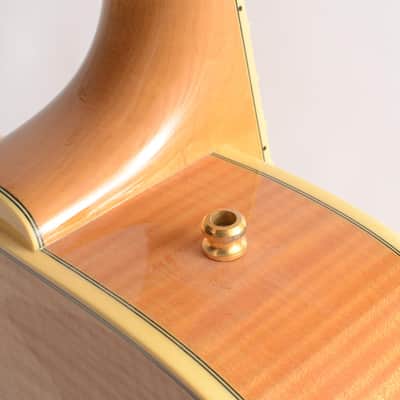 D'Aquisto D'Aquisto New Yorker DQ-NYE Electric Guitar Beautiful Condition Pro Setup Aquisto Jimmy image 11
