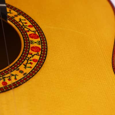 Alhambra Vilaplana 2021 Flamenco Guitar – Authentic Spanish Handmade Instrument Delivering Exceptional Playability and Lyrical Flamenco Sound - check video! image 15