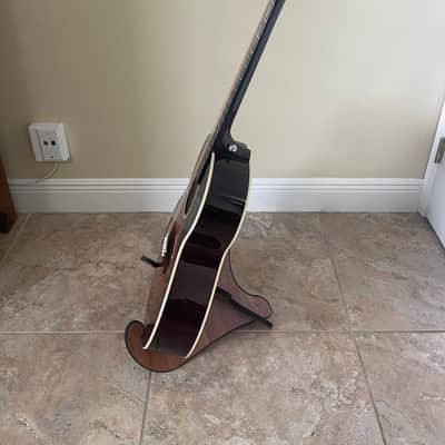 Epiphone Limited Edition EL-00 Pro V/S image 3