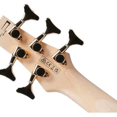 Ibanez GSR205PCTPB Gio SR 5-String Bass Guitar - Transparent Pale Black Burst image 5