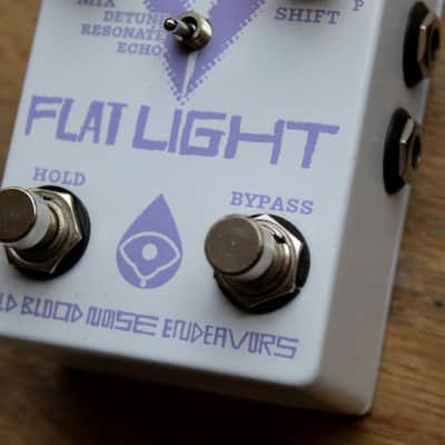 Old Blood Noise Endeavors Flat Light Textural Flange Shifter image 9
